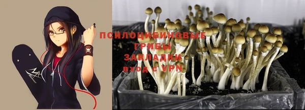 метадон Белокуриха