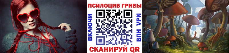 Псилоцибиновые грибы Magic Shrooms  Купить закладки  Зубцов 