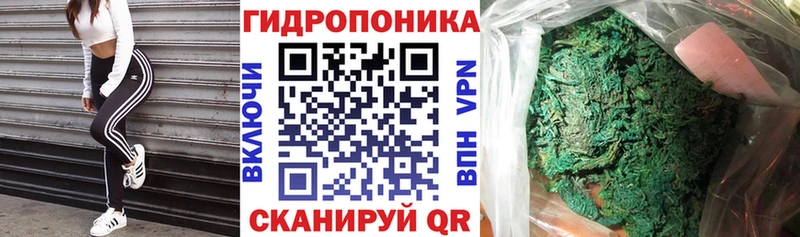 Купить  Зубцов  Каннабис ГИДРОПОН 